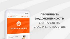 Что будет если не оплатить Автодор в Залог успеха