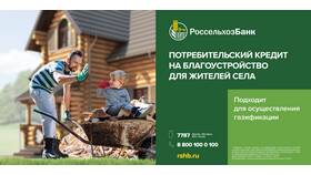 Что относится к условиям кредита в Залог успеха