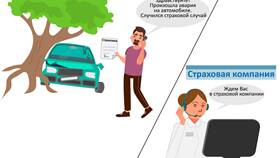 Что такое страховая выплата в Залог успеха