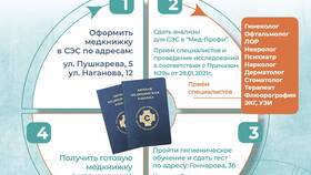 Как оформить голограмму на медицинскую книжку в Залог успеха