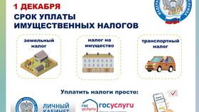 Как оплатить НДС в Залог успеха