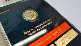 Как оплатить задолженность по налогам в Залог успеха