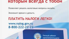 Как открыть личный кабинет в ФНС в Залог успеха