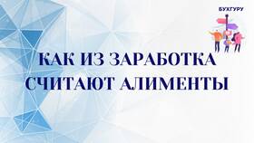 Как платить алименты при маленькой зарплате в Залог успеха