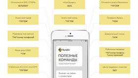 Как подключить услугу SMS на Билайн в Залог успеха