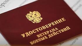 Как получать выплаты участникам ВБД в Залог успеха