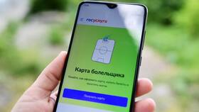 Как получить карту МАП через Госуслуги в Залог успеха