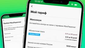 Как установить приложение Мегафон в Залог успеха