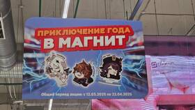 Магнит: на что скидки в Залог успеха