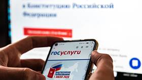 Можно ли использовать Госуслуги вместо паспорта в Залог успеха