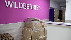 Почему на Wildberries стоит платная доставка в Залог успеха