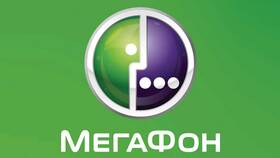 Почему не открывается Личный кабинет МегаФона в Залог успеха