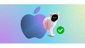 Почему не удается создать аккаунт Apple ID в Залог успеха