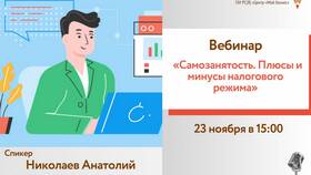 В чем минусы самозанятости в Залог успеха