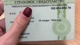 Зачем нужно страховое свидетельство государственного пенсионного страхования в Залог успеха