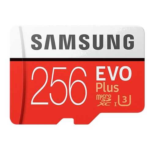 Карта памяти Samsung 256GB EVO plus (MB-MC256HARU) в Залог успеха